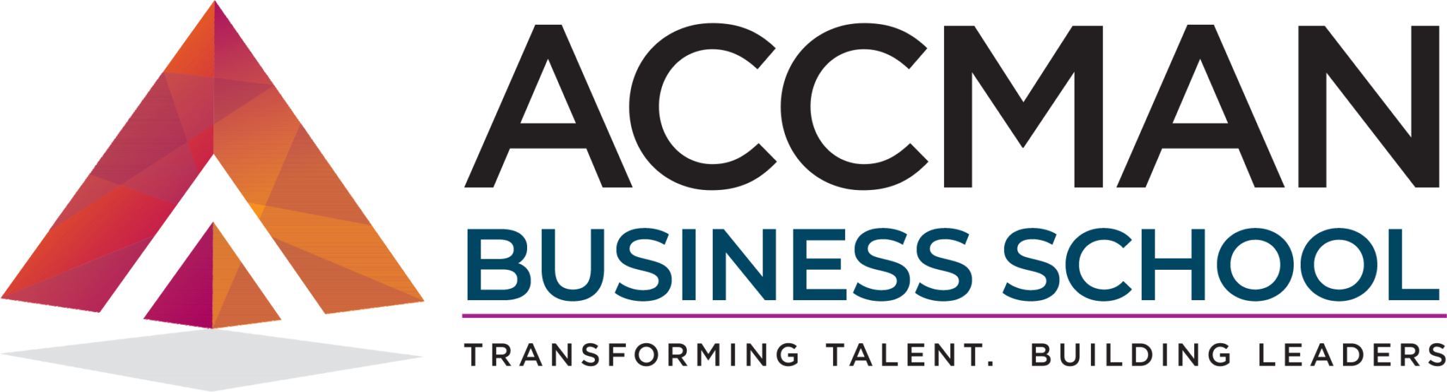 ACCMAN Institute of Management